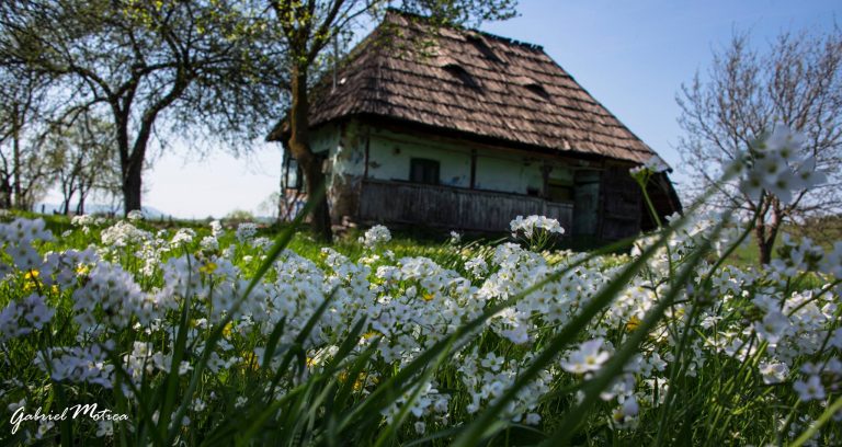 În dimineaţa de Florii..